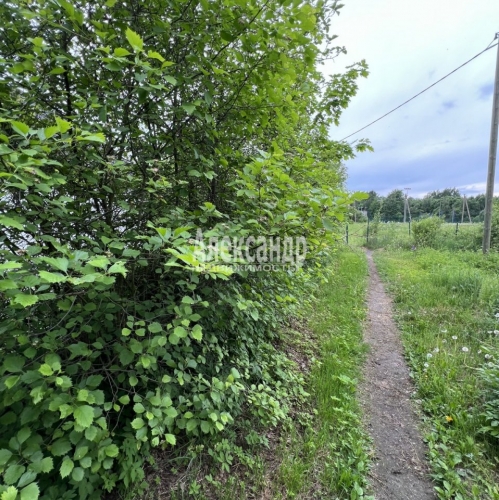 Земельный участок Красная Долина пос.