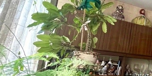 2-комн квартира Днепропетровская улица, 63Б