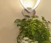 Сдать в аренду Квартиры вторичка Волоколамское шоссе, 71к4   