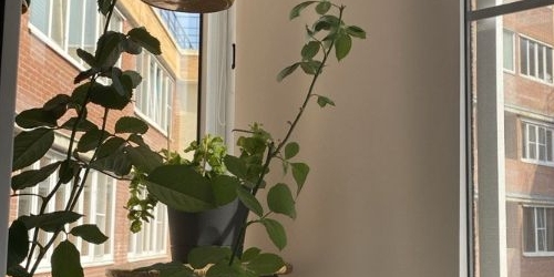 2-комн квартира Афанасьевская улица, 1