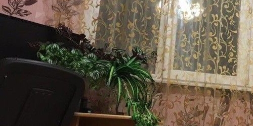 4-комн квартира улица Ляпидевского, 6К3