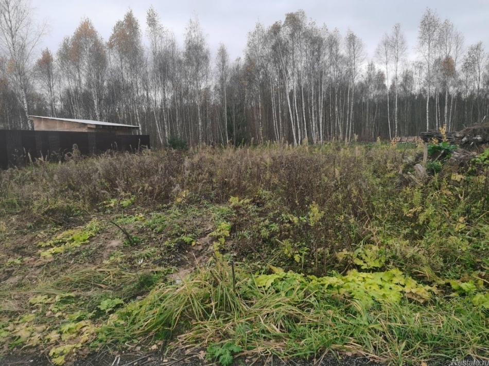 Продажа земли Новая, Полевая улица,  д. 40