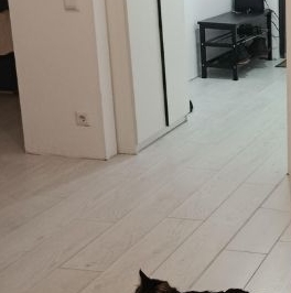 Аренда 1-комн квартиры на вторичном рынке Город-событие мкр, с. Лайково, 64