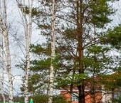 Продать Дачи, коттеджи, загородные дома Коркинское СНТ, улица Солнечная, 6   