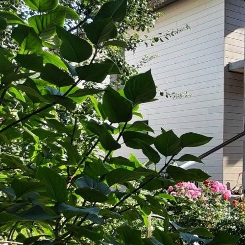 Коттедж/дом пос. Стрельна, Заводская улица, 37