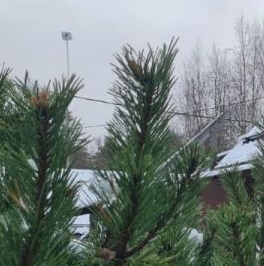 Продажа дома Междуречье СНТ