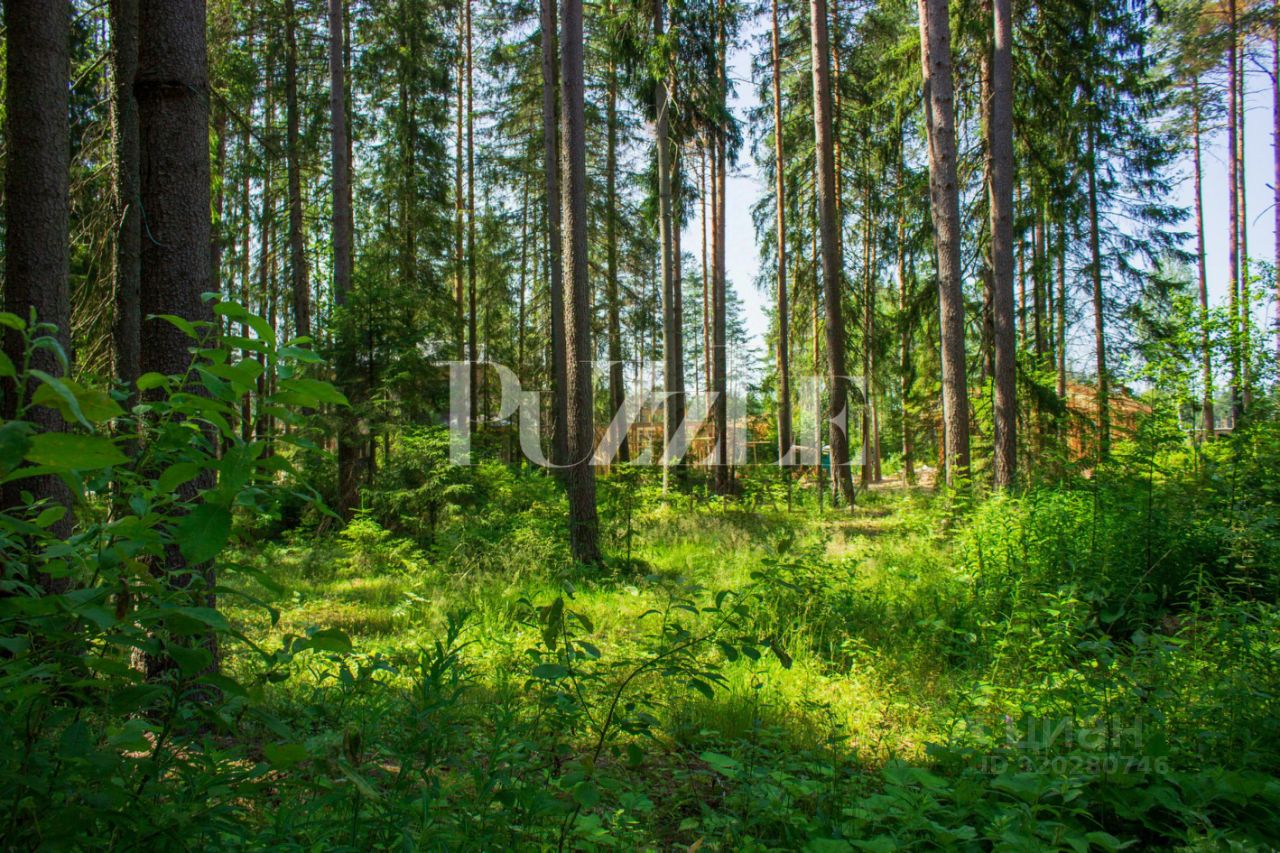 Продажа земли Рощино пгт, КП Еловая усадьба, проезд Усадебный, 32