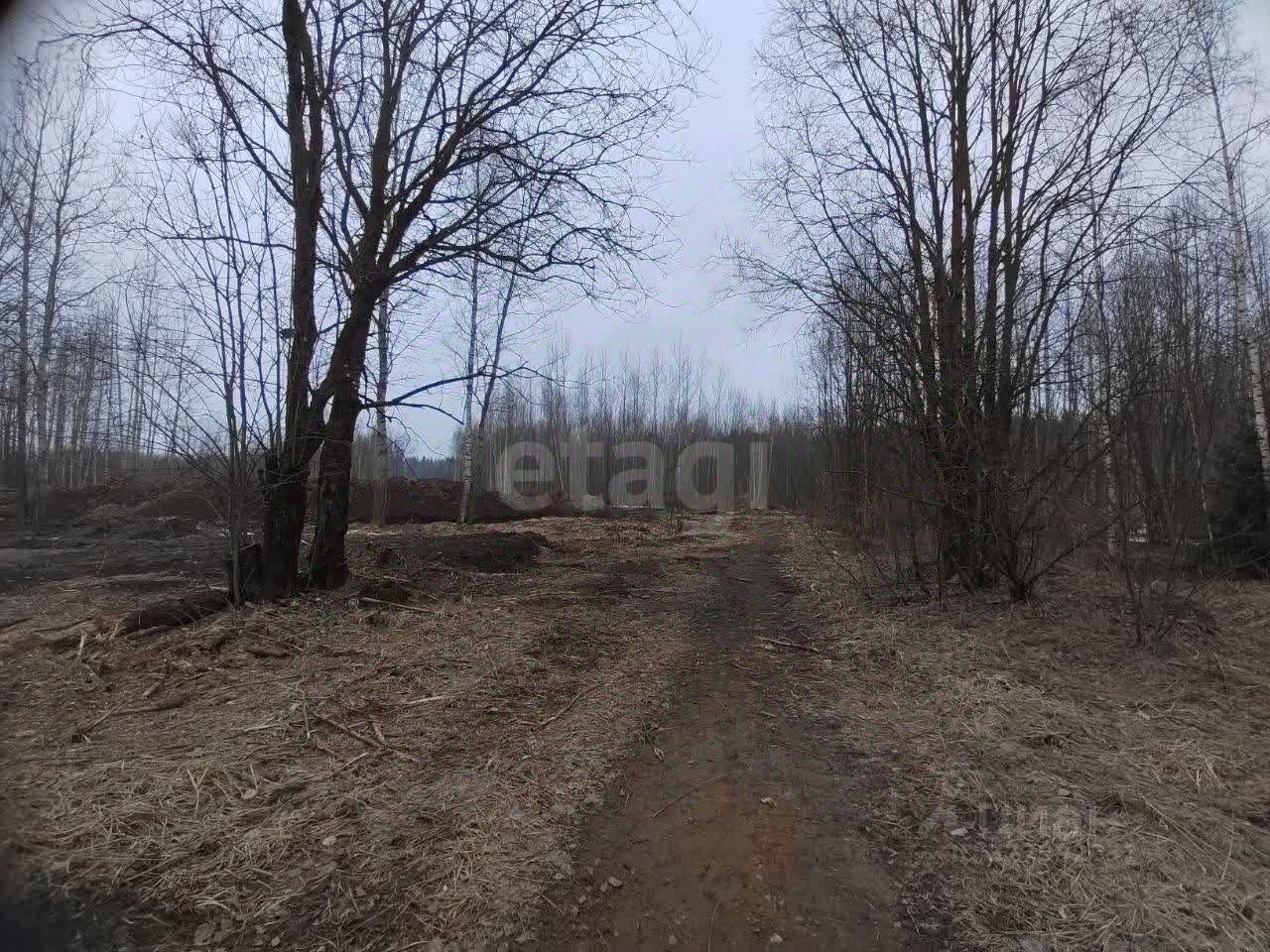 Продажа земли Ладога СНТ