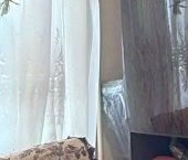 Сдать в аренду Квартиры вторичка улица Металлургов, 27А   