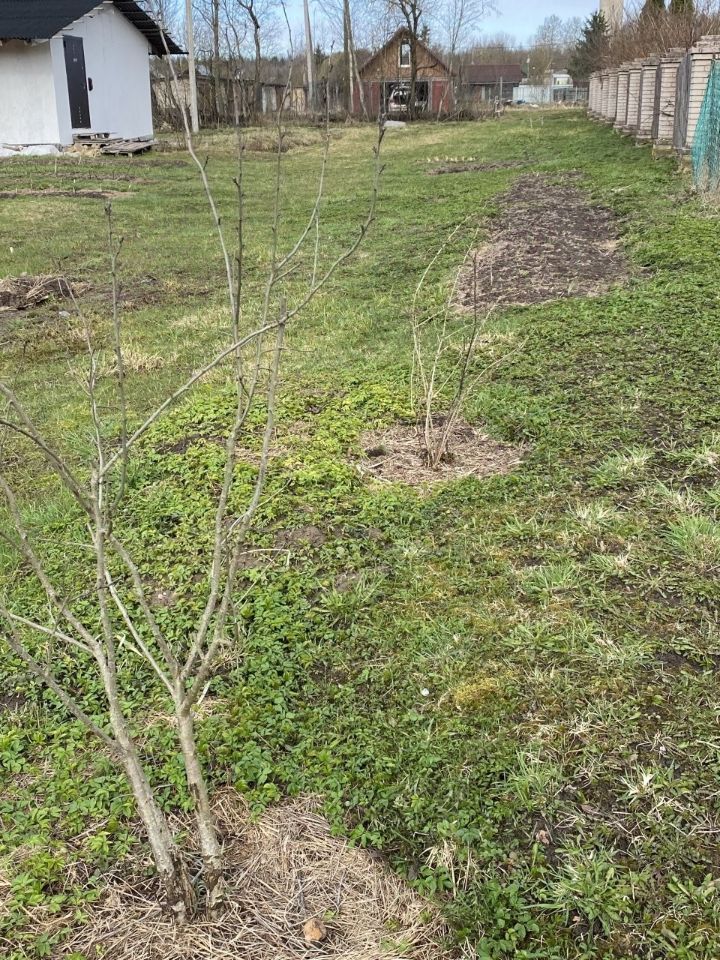 Продажа дома д. Ивановка (Пудостьское территориальное управление), улица Лесная, 17