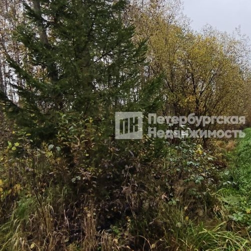 Земельный участок пос. Ларионово, улица Заречная