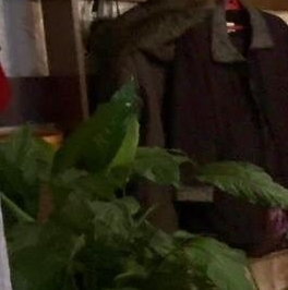 Продажа 2-комн квартиры на вторичном рынке Приозерск, улица Гоголя, 7