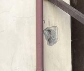 Продать Квартиры вторичка Рижский проспект, 60Ж   