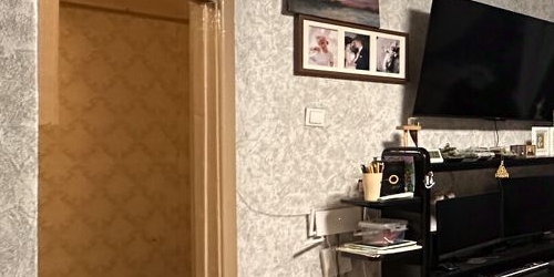 1-комн квартира проспект Тореза, 40К3