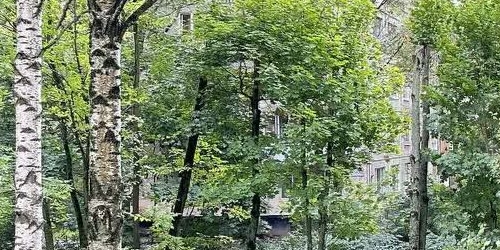 1-комн квартира Колпино, Пролетарская улица, 121