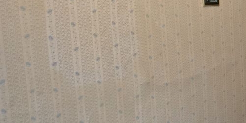 3-комн квартира Троицкий проспект, 7