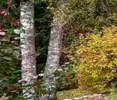 Продать Дачи, коттеджи, загородные дома пос. Ильичево, улица Верхняя   