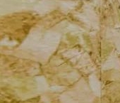 Продать Квартиры вторичка Горелово тер., шоссе Красносельское, 56к1   