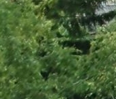 Продать Квартиры вторичка Сланцы, улица Максима Горького, 20а   