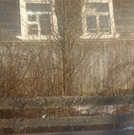 Продажа дома д. Куневичи, 74