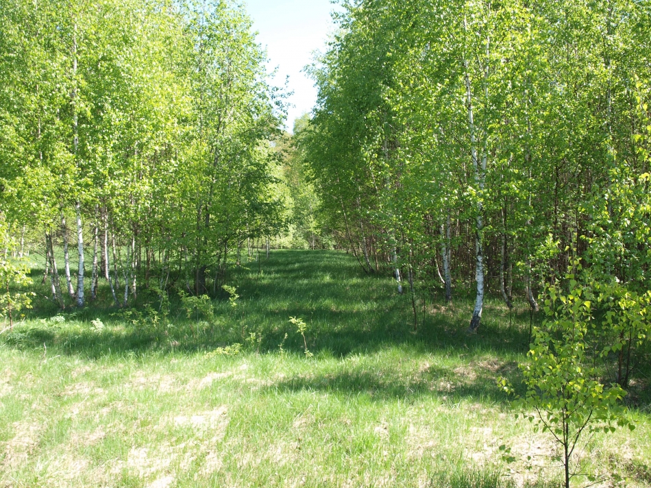 Продажа земли Ясниково д