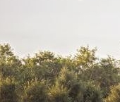 Продать Дачи, коттеджи, загородные дома Павловск, Негород Павловск кп   