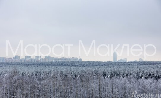 Продажа 1-комн квартиры на вторичном рынке Плесецкая ул,  д. 2 с1