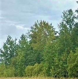 Продажа земли д. Муя, улица Центральная