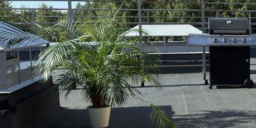 6-комн квартира Лахта тер., улица Новая, 51к1