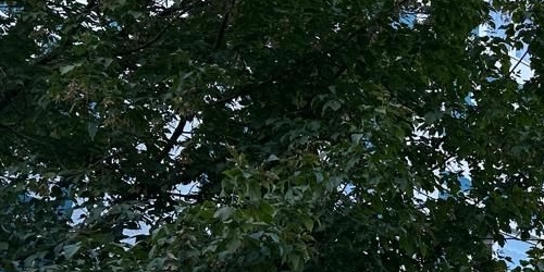 1-комн квартира Новгородская улица, 4