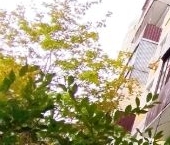 Продать Квартиры вторичка улица Ивана Сусанина, 4К3   