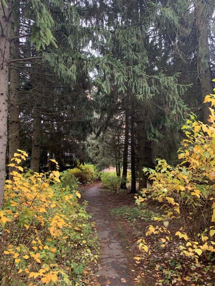 Продажа студии Новогорск мкр, улица Ивановская, 12