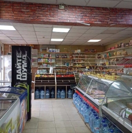 Аренда ПСН Сярьги, Центральная ул., д. 14, лит. А