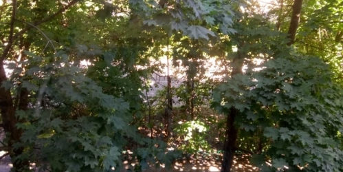 2-комн квартира Балашиха, Мира улица, дом 7