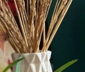 Продать Квартиры вторичка Усть-Славянка тер., проспект Советский, 34к2   