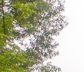 Продать Квартиры вторичка проспект Вернадского, 73   