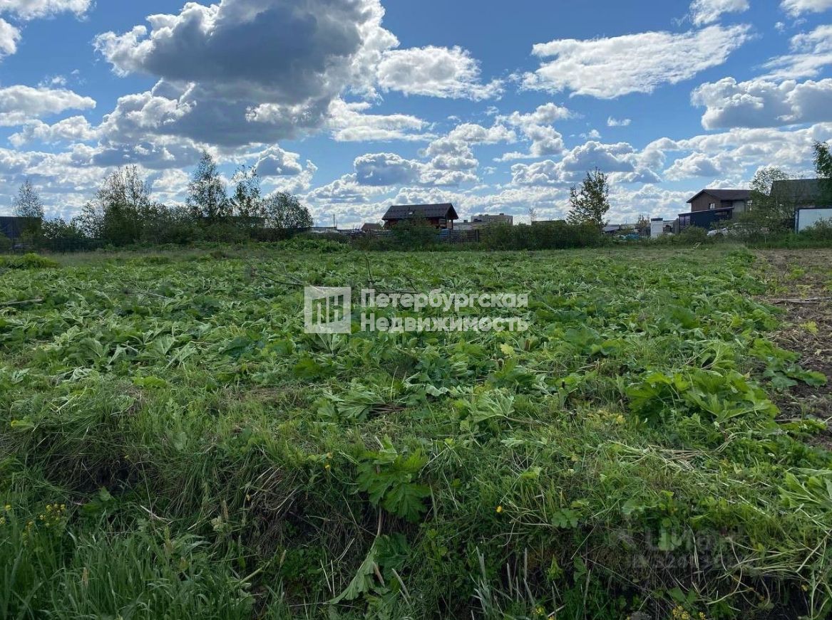 Продажа земли д. Ладога, улица Тосненская,  д. 44