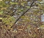 Продать Квартиры вторичка Щелково, Полевая улица, 16   