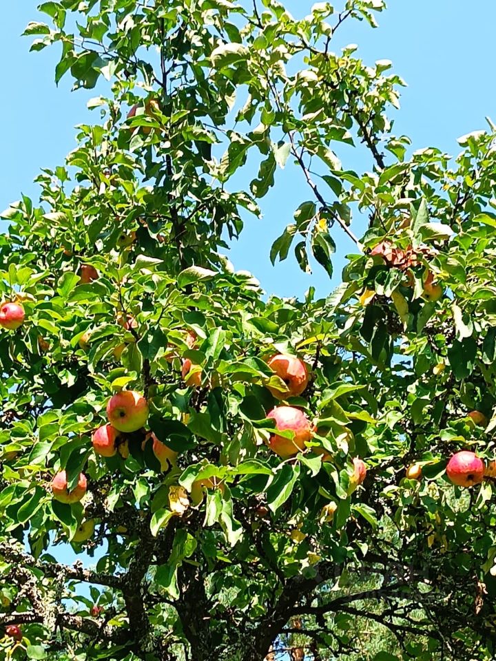 Продажа дома Сказка СНТ,  д. 16