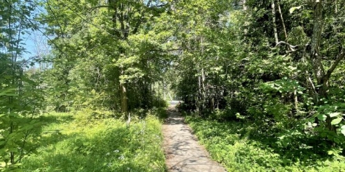 2-комн квартира Сертолово, Выборгское шоссе, 1