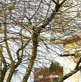 Продажа дома д. Раздолье, улица Береговая, д. 32 Продажа дома д. Раздолье, улица Береговая, д. 32