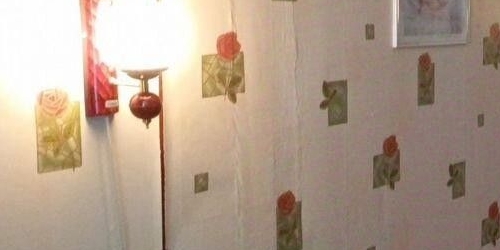 2-комн квартира улица Академика Павлова, 9К1