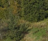 Продать Земельные участки, земля Уютное СНТ   