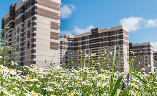 Продажа 1-комн квартиры на вторичном рынке Мурино, ул Шоссе в Лаврики,  д. 59,  к. 2