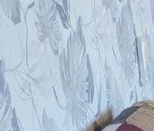 Сдать в аренду Квартиры вторичка Петергоф, улица Путешественника Козлова, 11   