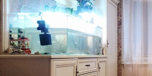 1-комн квартира улица Васи Алексеева, 15