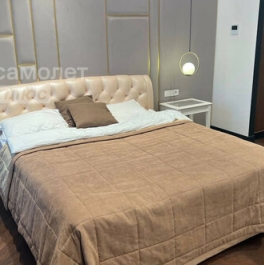 Продажа 1-комн квартиры на вторичном рынке улица Петровка