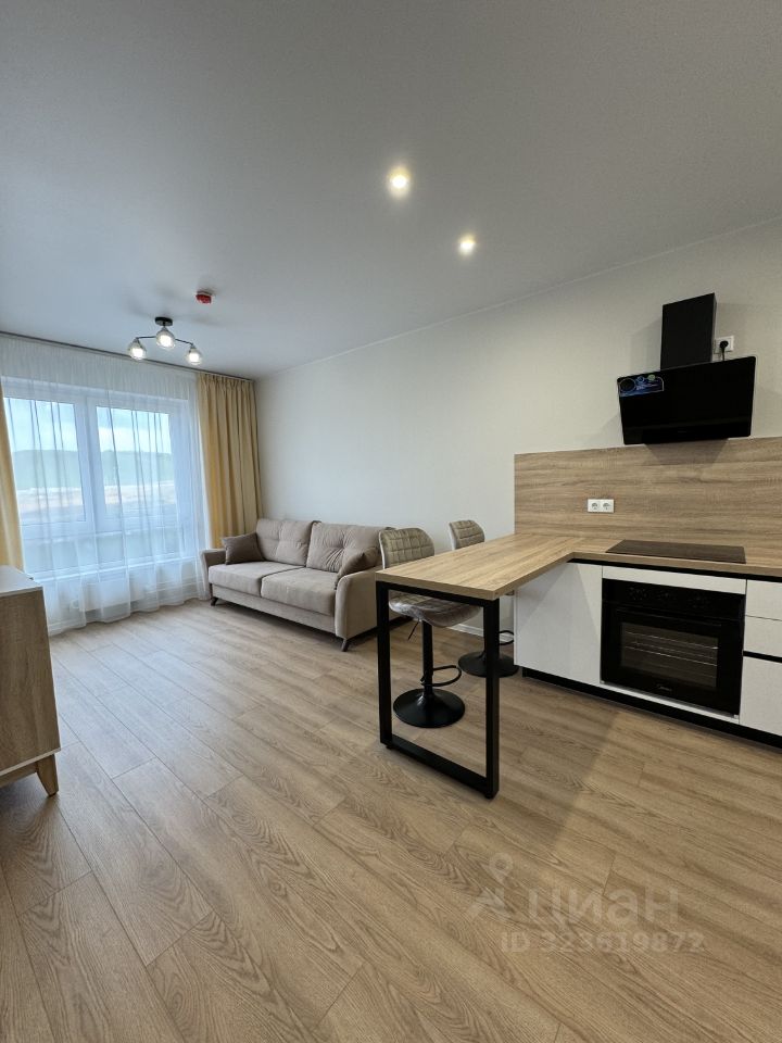 Аренда 1-комн квартиры на вторичном рынке улица Большое Понизовье, 8