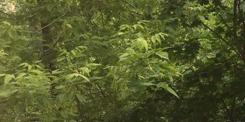 Комната Окружной проезд, 24