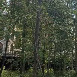 Продажа земли Всеволожск, проспект Козлова Продажа земли Всеволожск, проспект Козлова